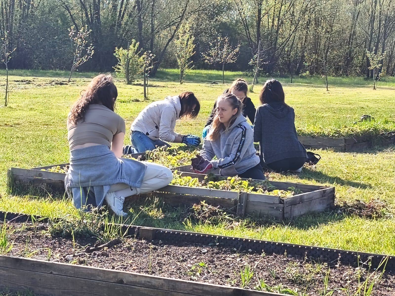 490953894 719765560393712 7176832647451591126 n