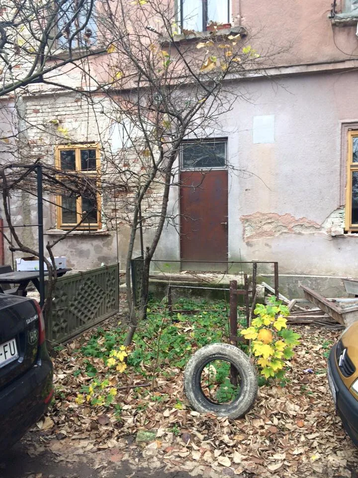 12249723 10203795074676190 2933761771559797015 n