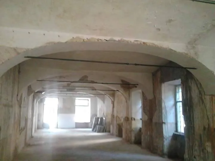 14494871 540260339507789 6441119364554391076 n