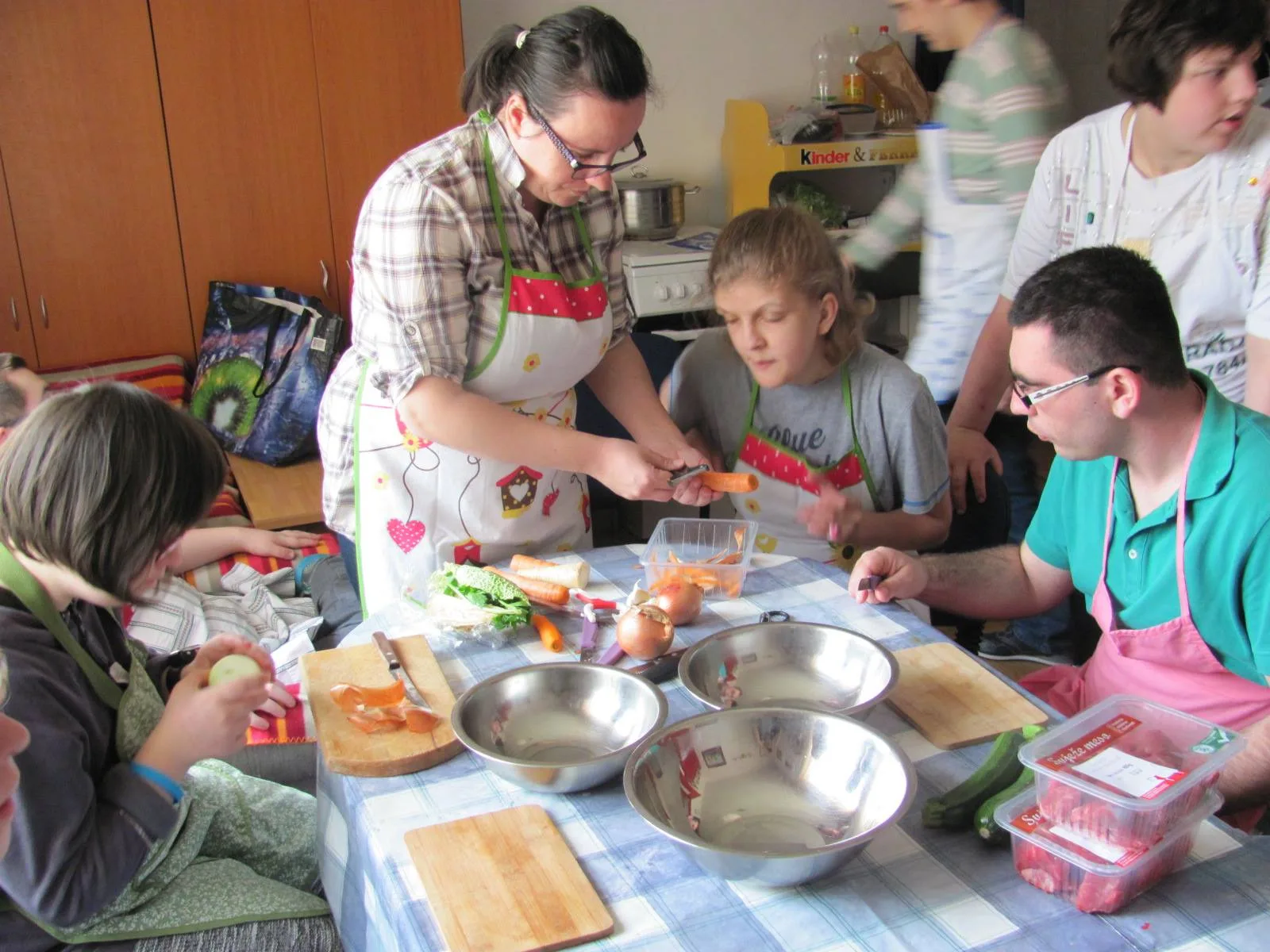 Domaćinstvo u Maloj kući projekt MZO