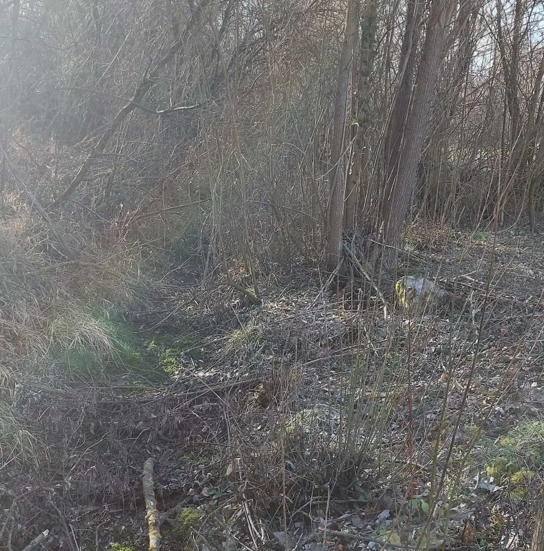 275360586 710983696567813 5442906066170900801 n