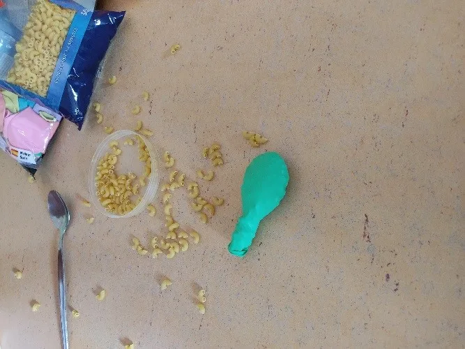 stiskajuže životinje 3