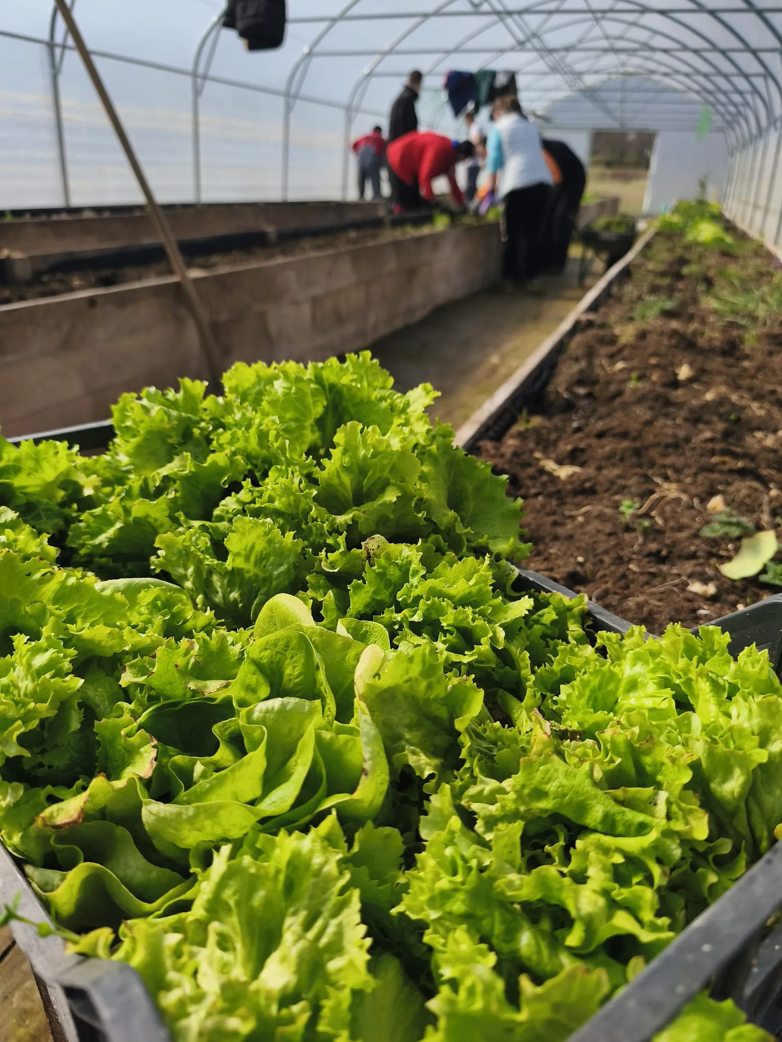 480324980 689716420065293 7220262805368331690 n