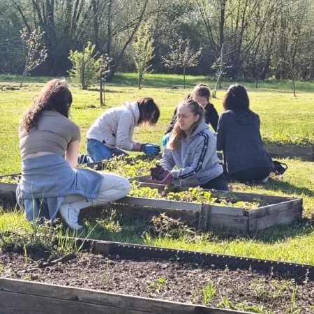 490953894 719765560393712 7176832647451591126 n