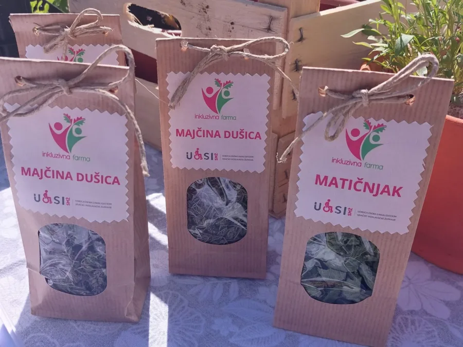 487826675 708394758197459 1478043443296924388 n